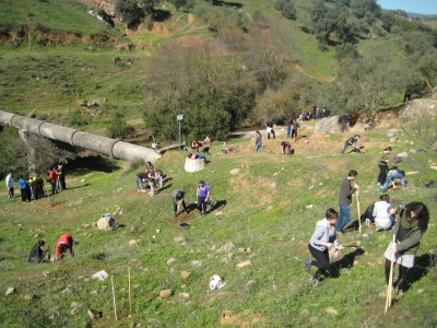 Un momento de la reforestacin