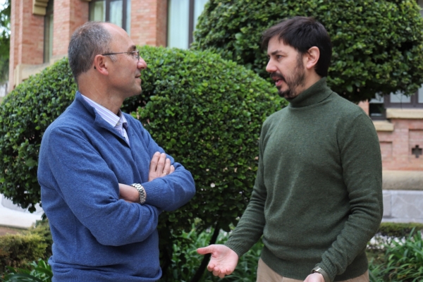 Climate change will cause a loss of olive production in Andalusia