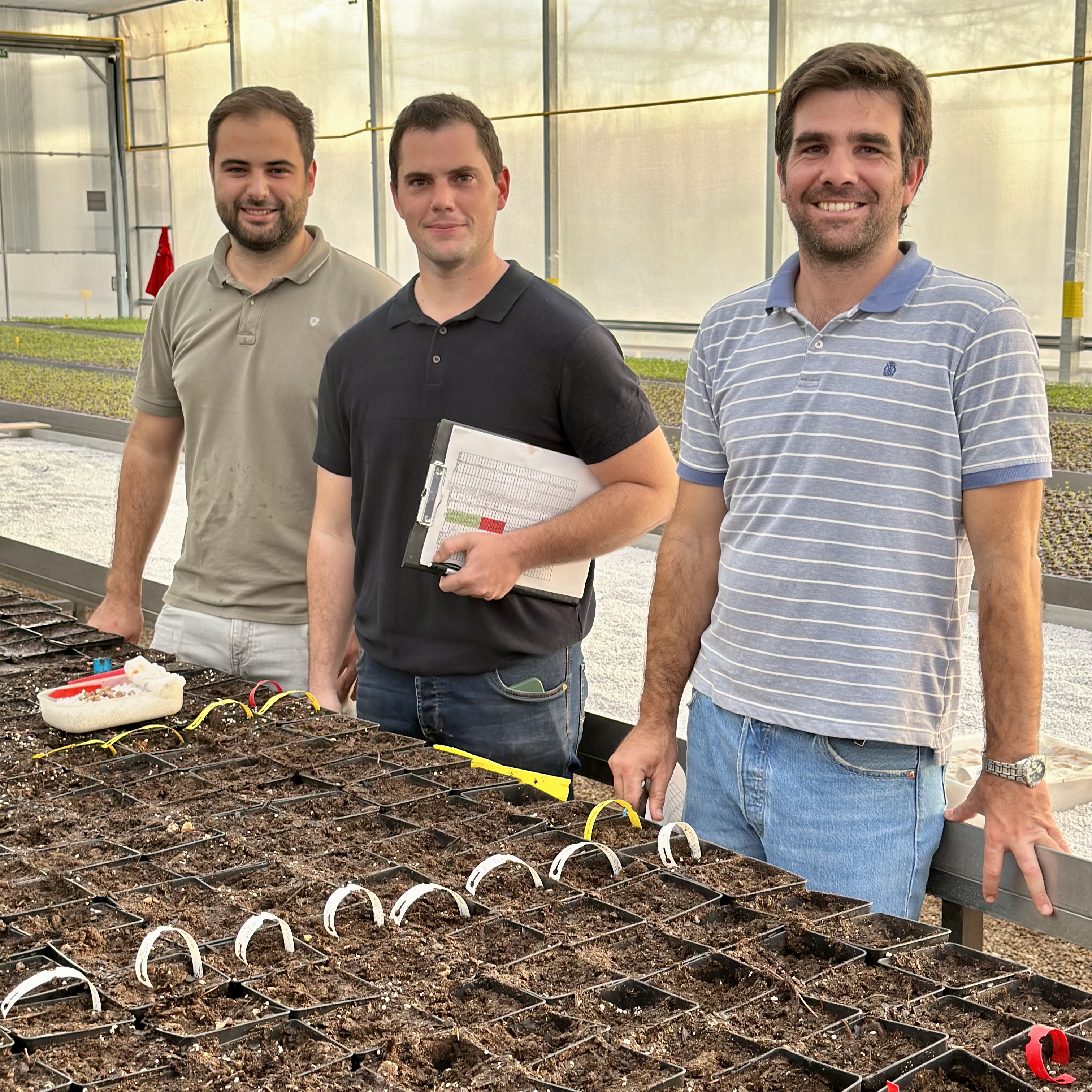 Porgrama mejora varietal