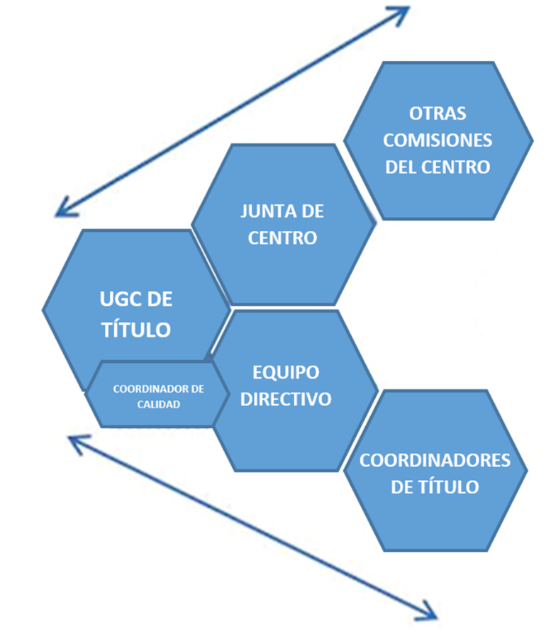 organigrama UGC FAVE